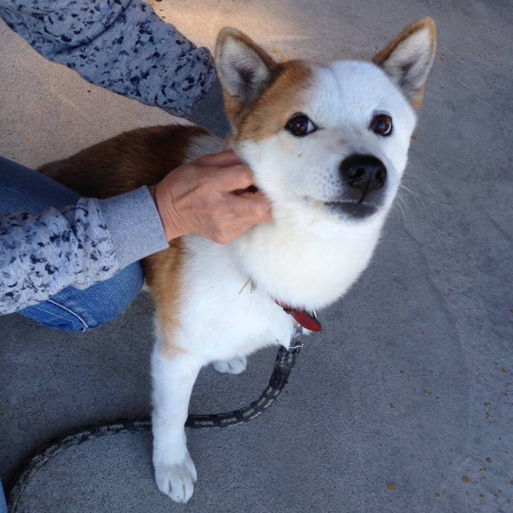 8e80ce79 3a68 4471 a61e 8c9346a3aa23