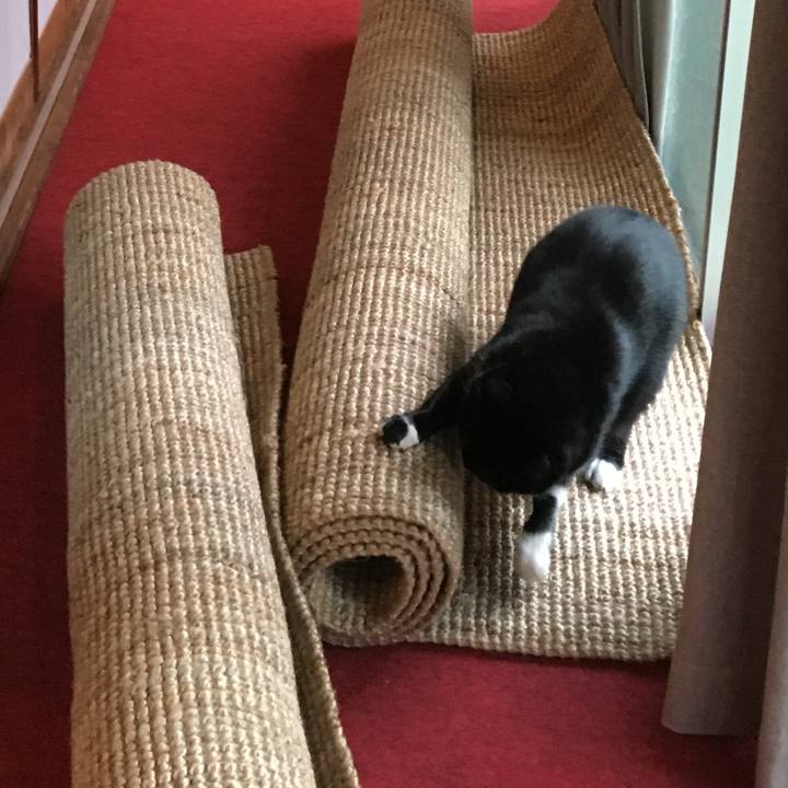 8e8134ad 9ac5 4676 9714 1da1a77db8d1