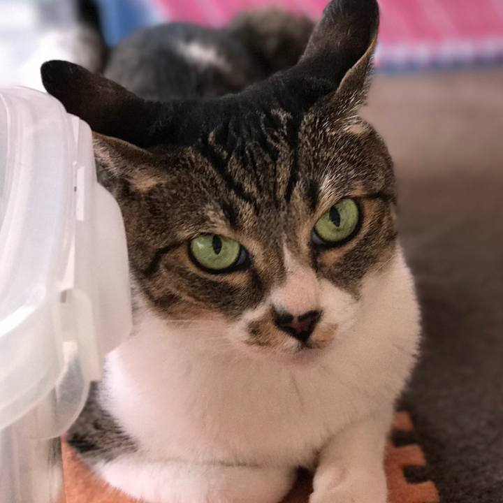 8e8148ec 2727 4f1f a74f 9df9f45ad5c2