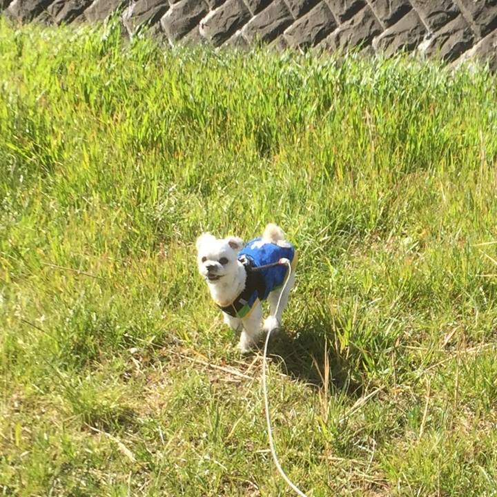 8e81ffa3 b89e 43d0 9ae2 c8fef1737097