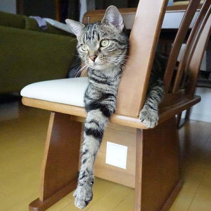 8e827464 8bfe 4c12 8bd7 ccf521b4ebea