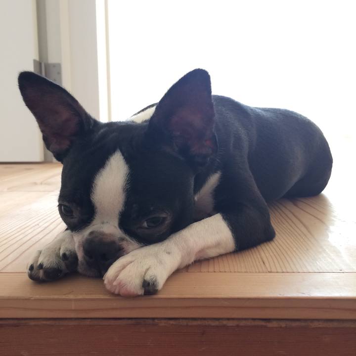 8e828cfe 3fb4 4b71 8399 bf55d1d05b63