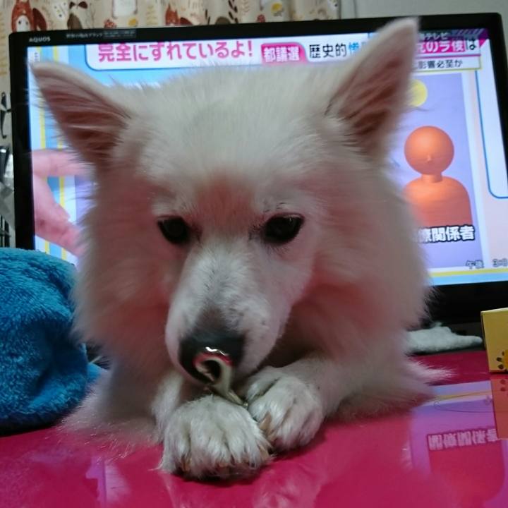 8e83bf37 1387 47e3 bf41 55c1ca816749