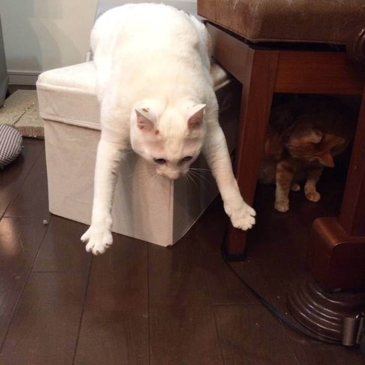 8e844ff6 fa59 4dfa 85eb 78450e5e8c38