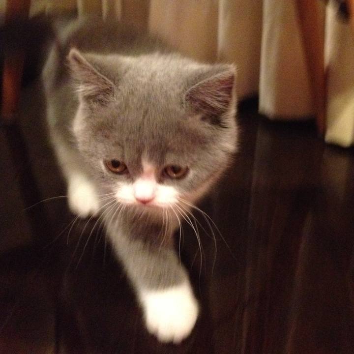 8e845937 b592 4fb3 8d60 295c829c83bf