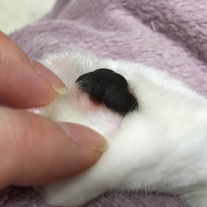 8e84a9b0 5b7b 4e1f 8713 a1dc8914b51c