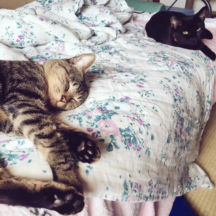 8e84afd2 edc2 467a af9a f33a5e4a973b