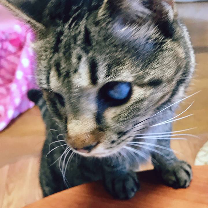 8e851fa0 93a0 4472 a1b3 f58914ea6124