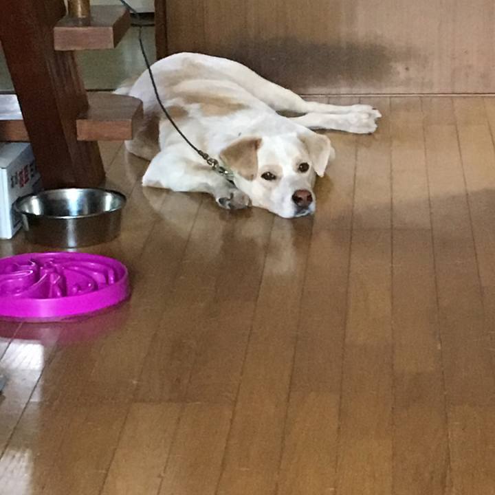 8e862290 6cb5 48d8 b42a ef49555a3eb1