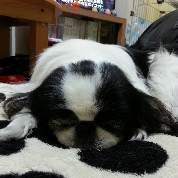 8e8657fb 486c 43d1 b0b3 ab6f2bca8f25