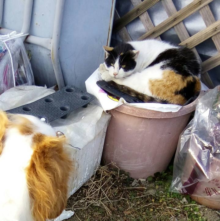 8e865d1a 8034 4f5e 95d4 0c9e1fe7b96f