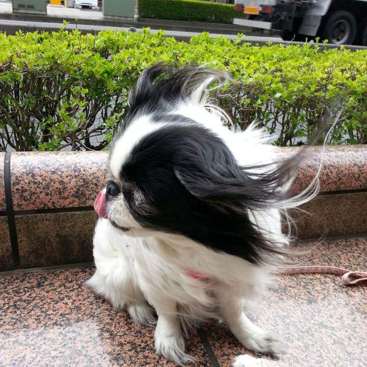 8e87a072 6f8a 444f 99d8 959b7cb01187