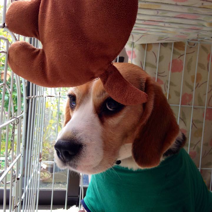 8e881daf 2a40 4114 b307 69fcef5e94ac