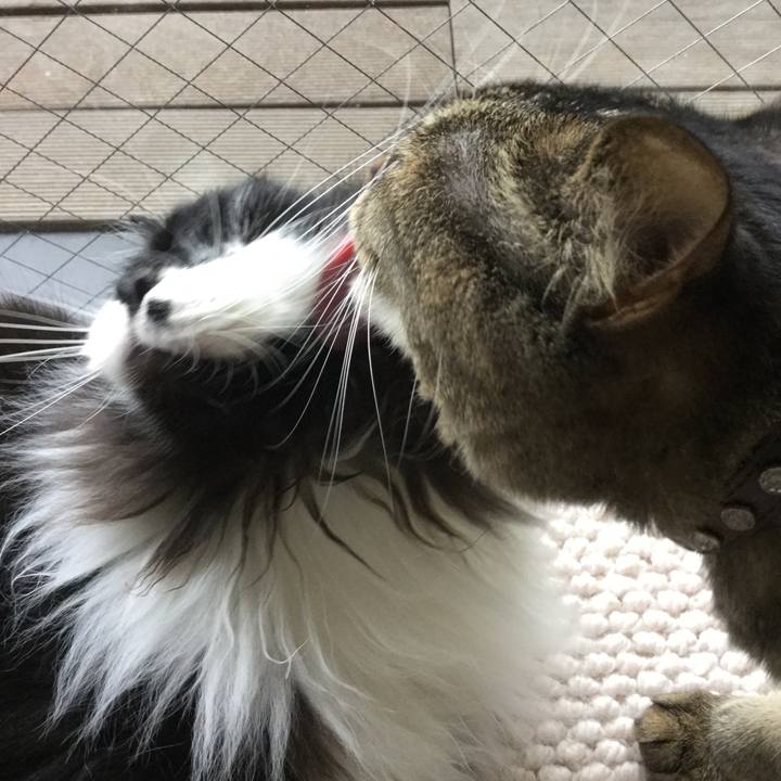 8e885b8f 34d0 46a5 ba6b 52d3215b6633