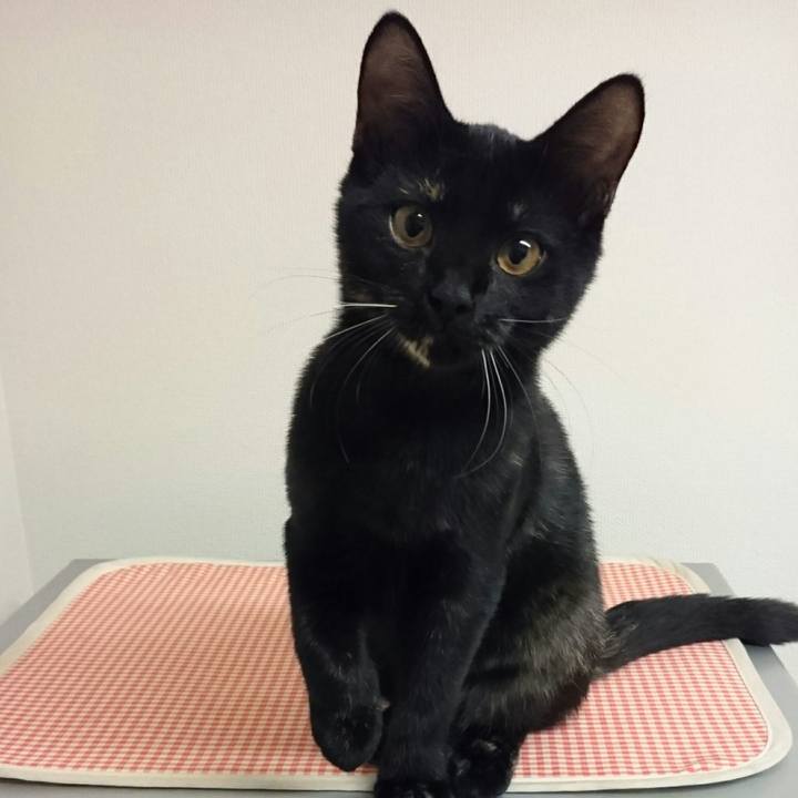 8e8885cb 61d1 4947 90c9 1ce5fc82c0e5