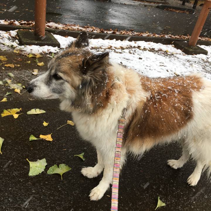 8e891bce 8f65 47aa 87b2 7a90419da92b