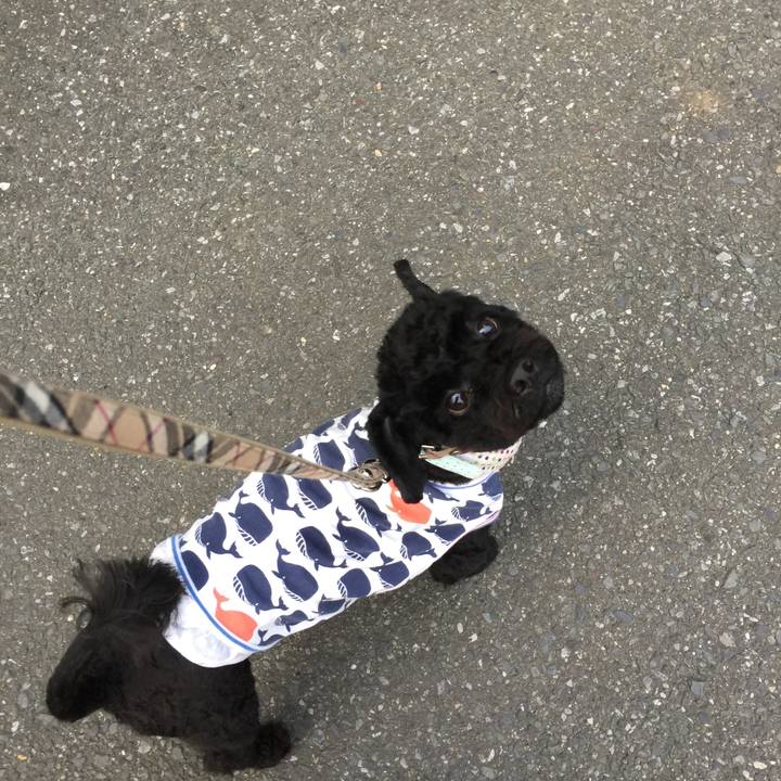 8e8987f5 2159 4b48 b9d7 7d695565aa5b