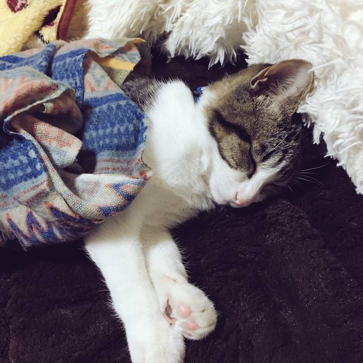 8e89b668 5324 4901 a7bf cd3584afef6b