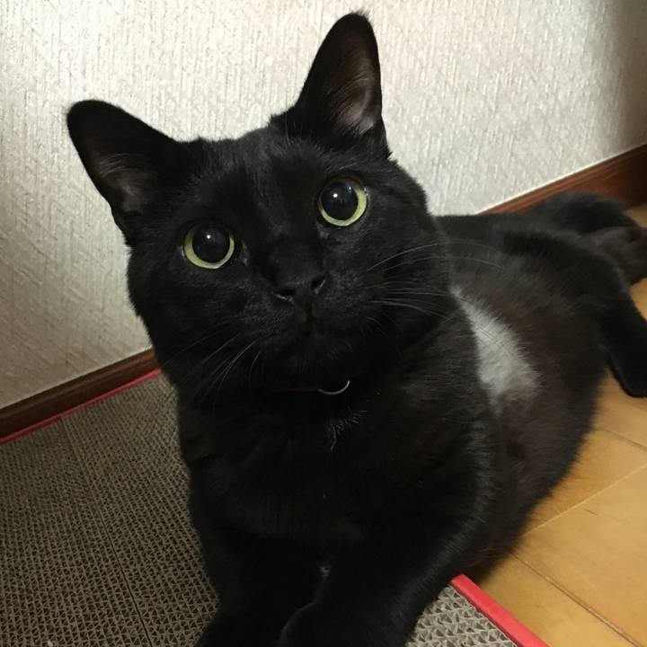 8e8a086d f91c 42cb a0f5 693a93d02346