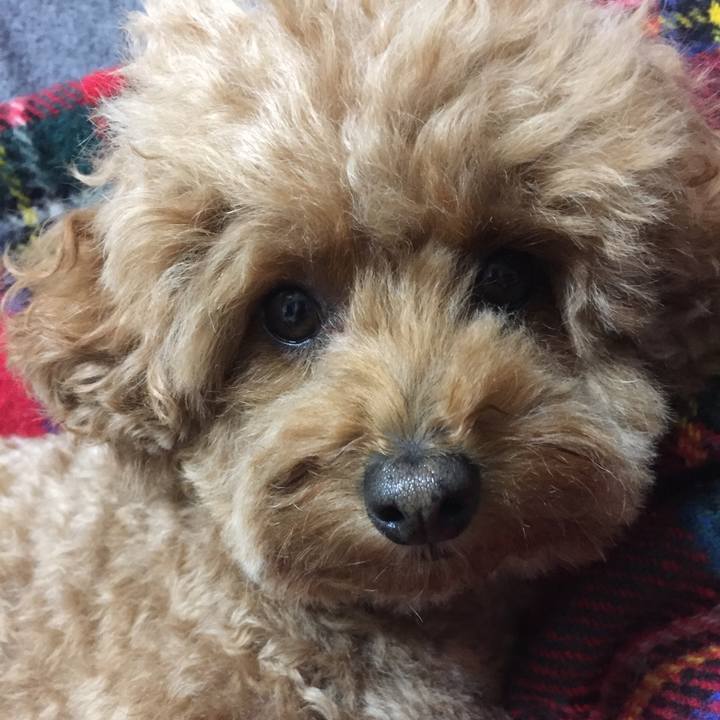 8e8a1514 2d04 4a1e bdaa bdc292d08da1