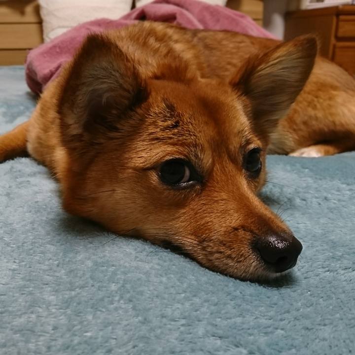 8e8ab14d a6dd 4b7d b527 7f10ee2c2428