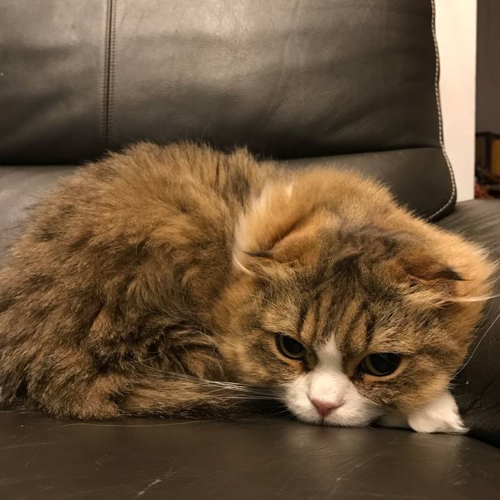 8e8abdca 3eeb 4e16 9730 935b4387e4ab