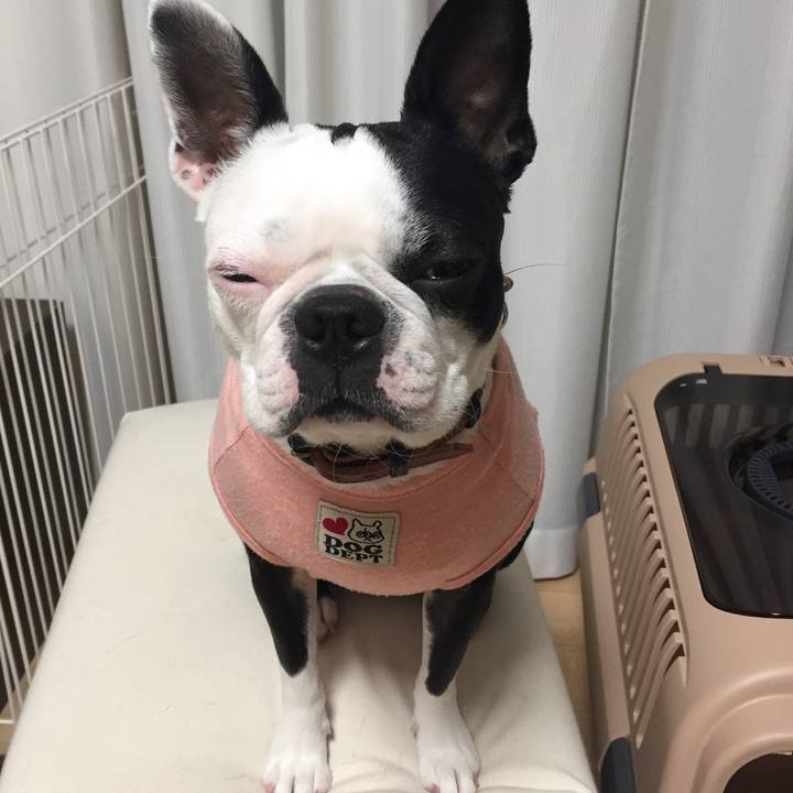 8e8ac702 5c5e 4fcf 9713 6127612d719c