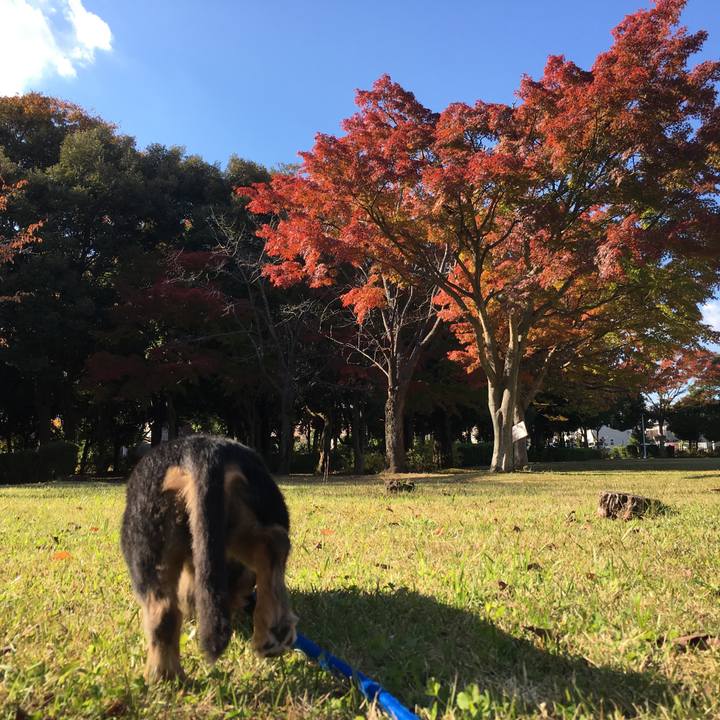 8e8b611e 6a8c 4b06 8279 b7f672837730