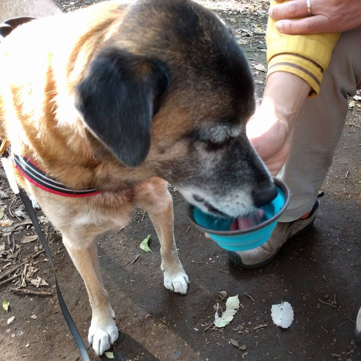 8e8b76e3 6a38 428f a6b3 6ae148a663ef