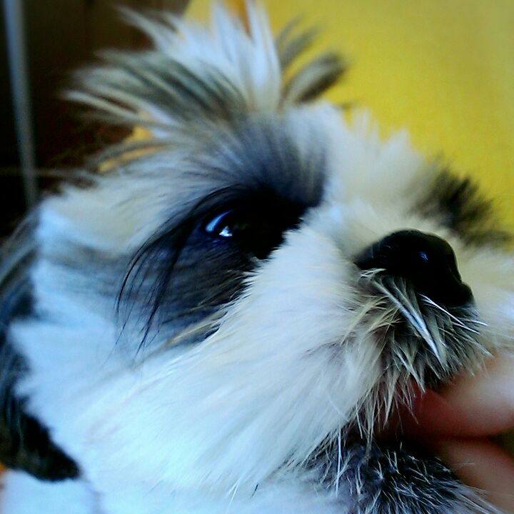 8e8bc555 d617 4d94 80fd 215d9111be0b