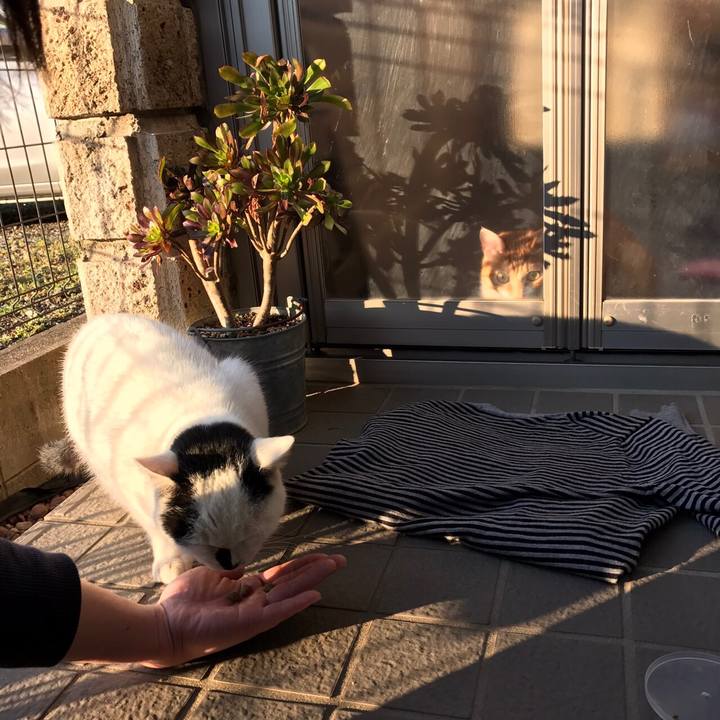 8e8c49c7 4bf4 4616 bfeb 08629d089067