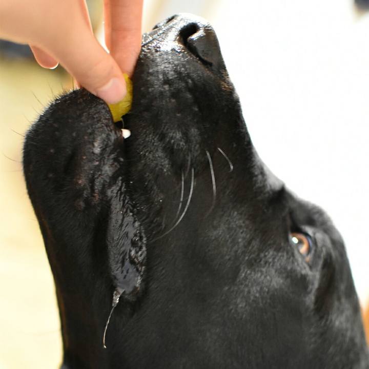 8e8c8a5a 66e9 432b a8cd c6c19e83cbac