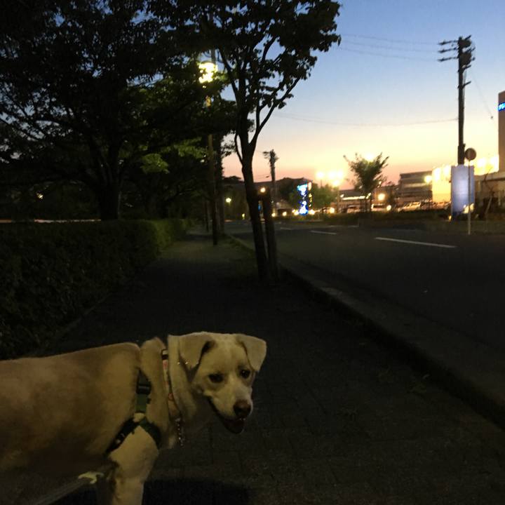 8e8cac1d 6b27 4824 8be5 2ab8b31c333f