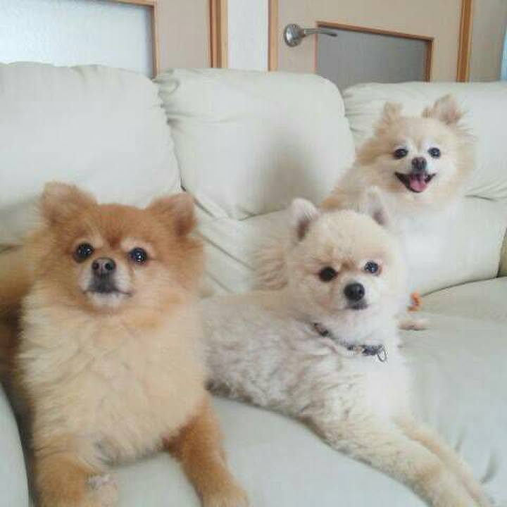 8e8d36a9 4a3b 4d08 9a0d a43dd5789486