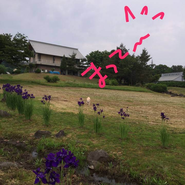 8e8ded45 e49d 4a7e afdc 921cffb69769