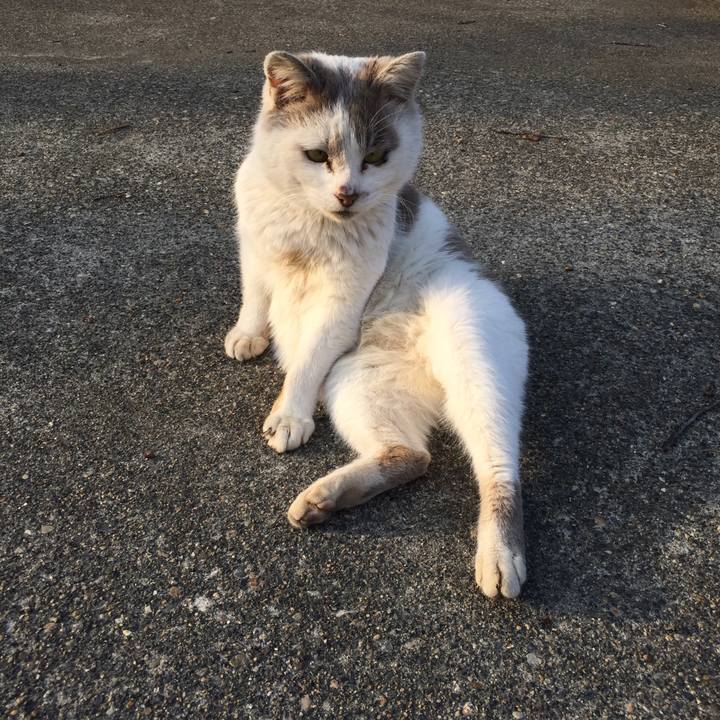 8e8e63ad 4cfe 4a85 824f c02b73319ff6