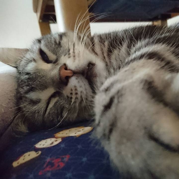 8e8e7e8a 0765 48ab b157 91b2059e5b71