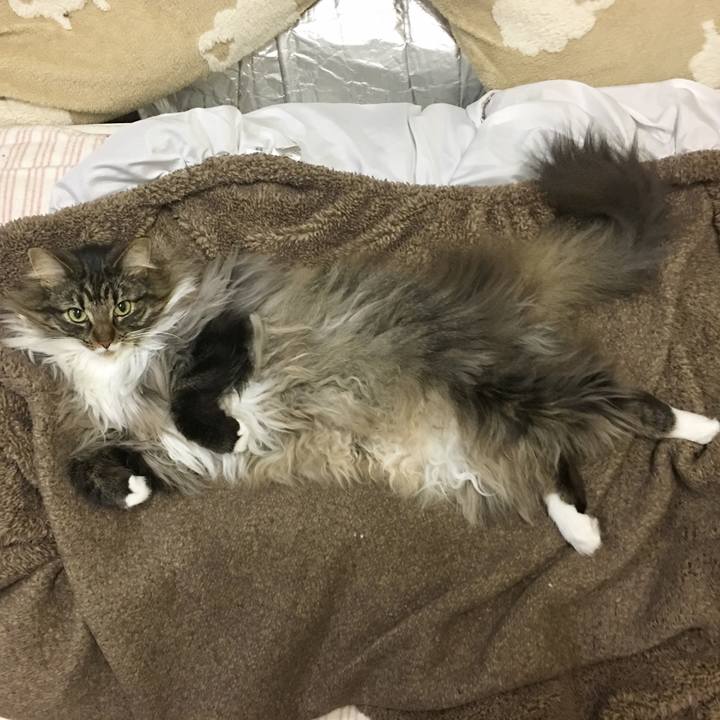 8e8e8c75 d156 4b9e a12b 4232ae630f7b