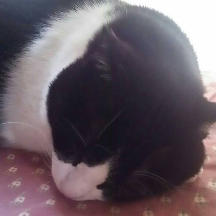 8e8ea1db 1350 4594 9f3d f393c7bf3407