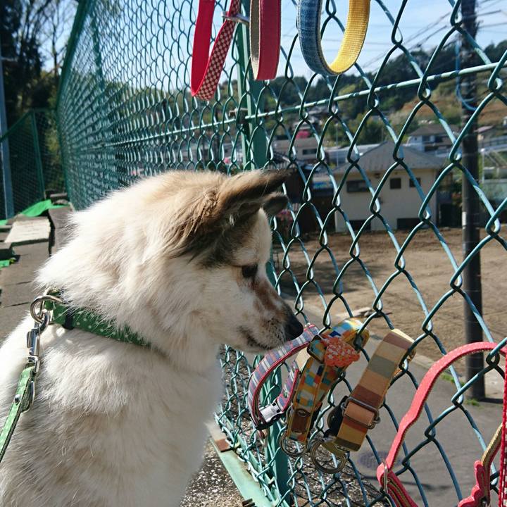 8e8fc34d f608 4c84 b576 ccc4613b0dc1