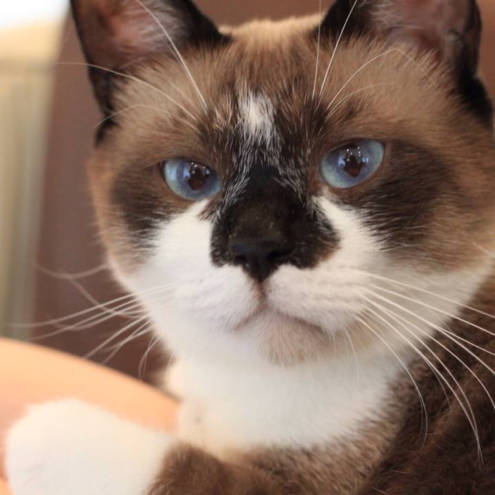 8e90ae85 48fd 4650 b399 b3483374c890