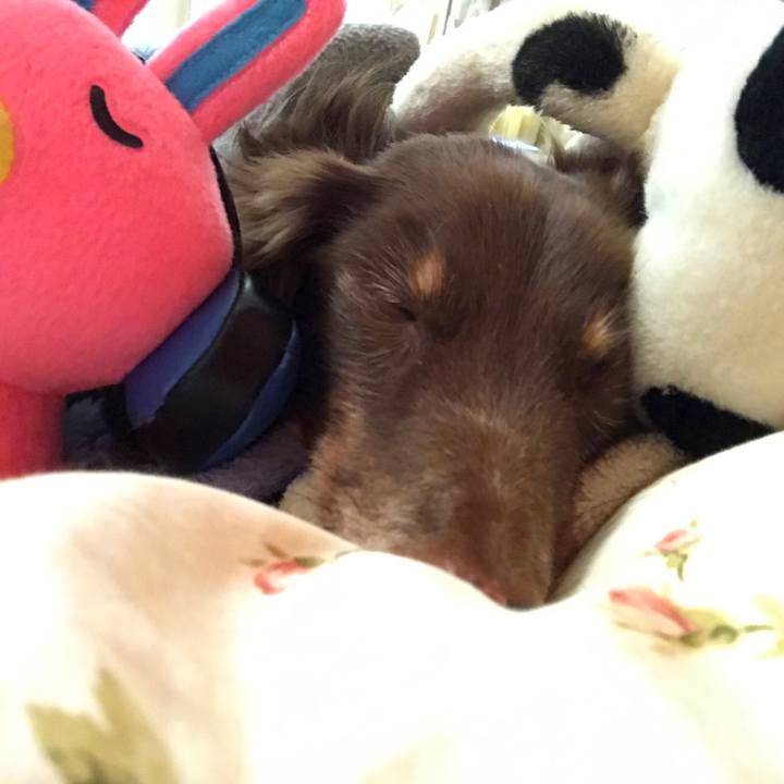 8e90c2d4 39d1 4856 b9bd 37c918e85ef1