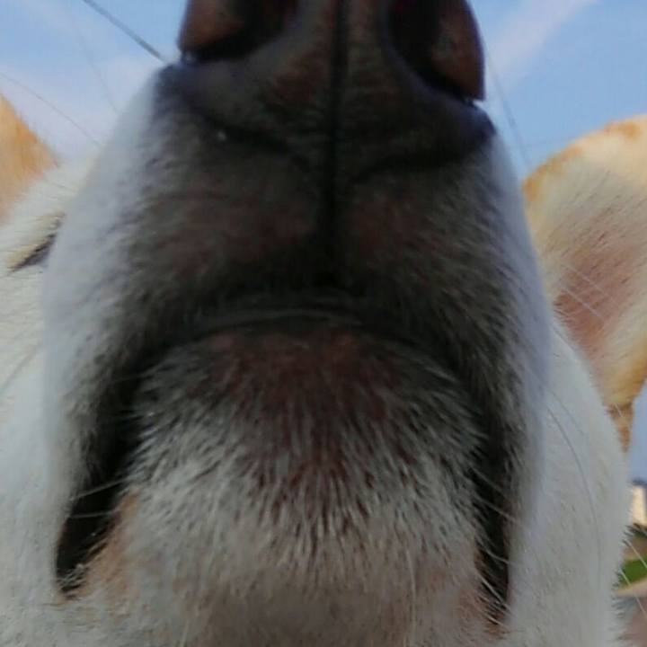 8e91161a 8080 4744 8d39 7f50e489145c