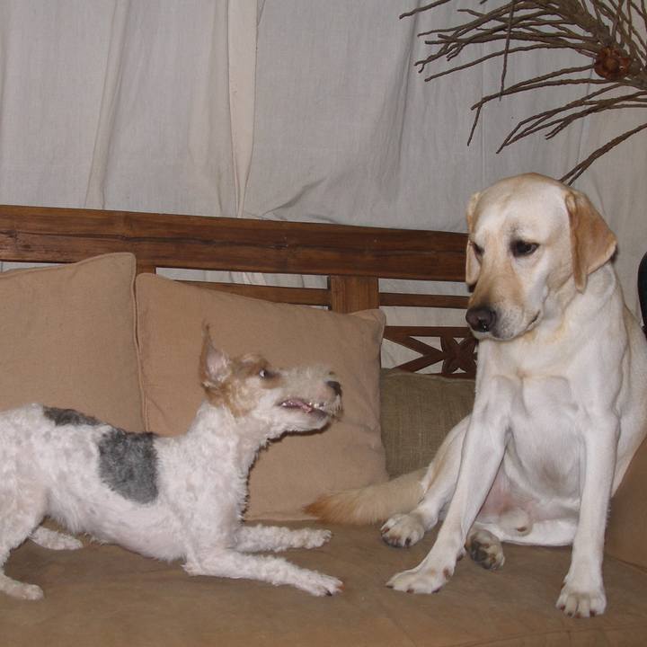 8e911f86 514a 44c2 8fc6 9b5e046df520