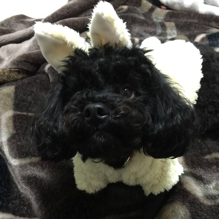 8e91618d e261 435b af7b 696e28666524