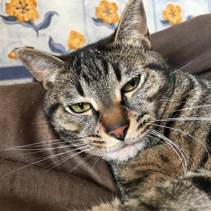 8e91a5a3 d580 427d 8914 c6070ba03fe4