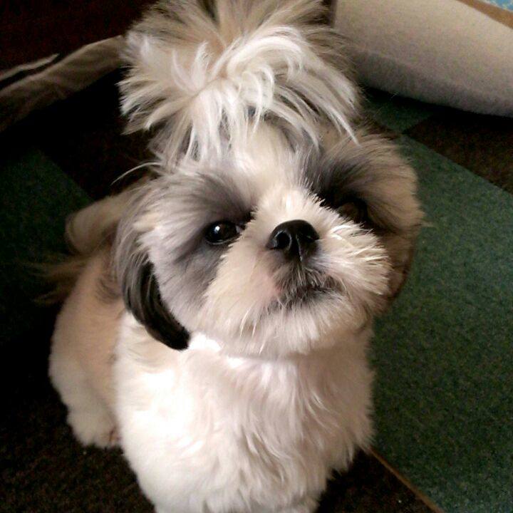 8e920158 b461 4e09 8ef2 d7955d3f75d4