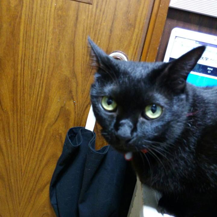 8e920d70 b19d 47ad b48a a055e5cb873e