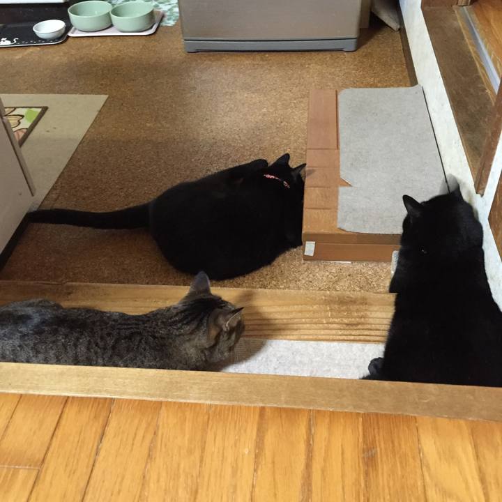 8e925a32 89d6 4371 b951 c488c452c252