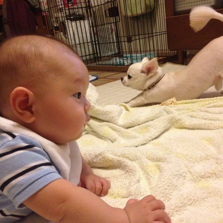 8e92ace1 0347 444a a2e6 962ebbb66a9b